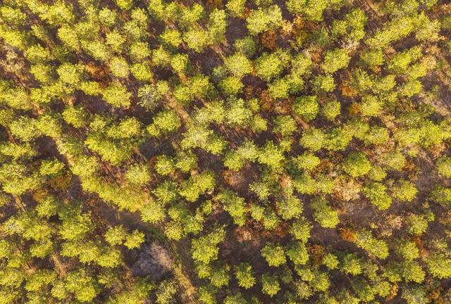 Kırıkkale'de sonbahar güzelliği 5